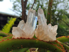 Natural Clear Cascading Quartz Crystal Clusters x 24 From Madagascar - Toprock Gemstones and Minerals 