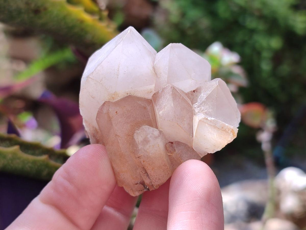 Natural Clear Cascading Quartz Crystal Clusters x 24 From Madagascar - Toprock Gemstones and Minerals 