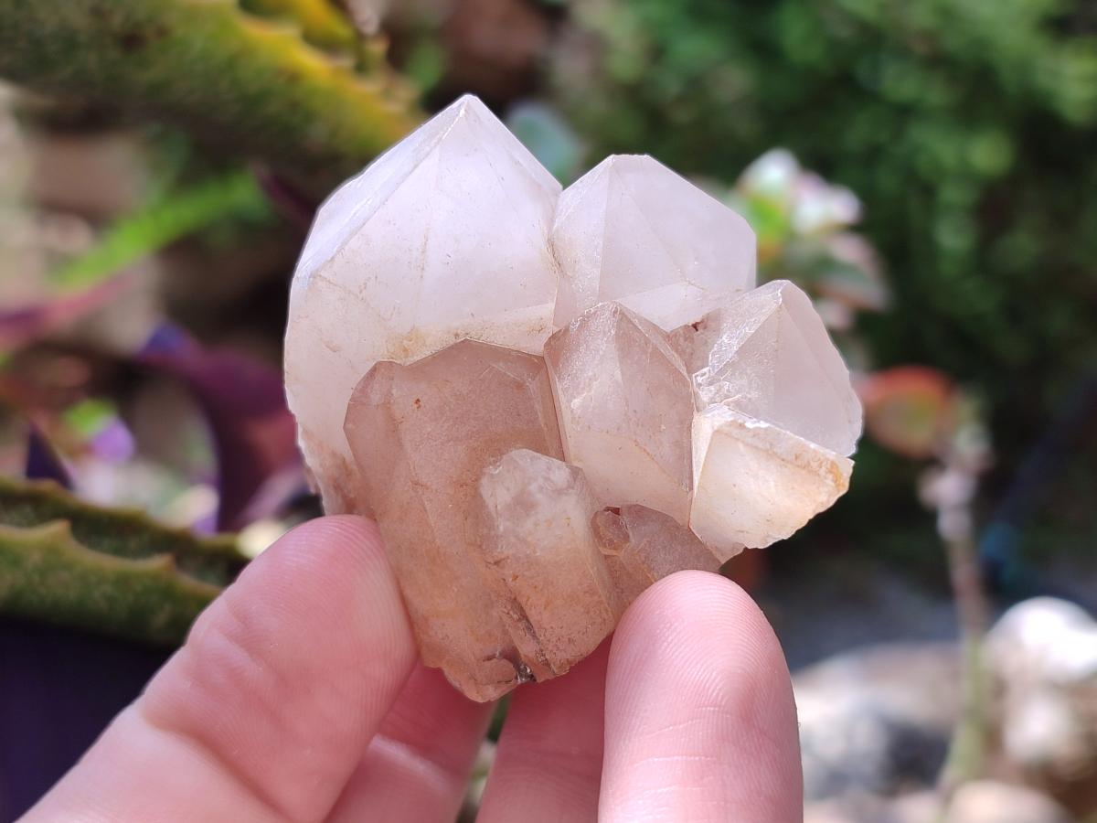 Natural Clear Cascading Quartz Crystal Clusters x 24 From Madagascar - Toprock Gemstones and Minerals 