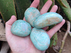 Polished Amazonite Free Forms x 24 From Zimbabwe - Toprock Gemstones and Minerals 