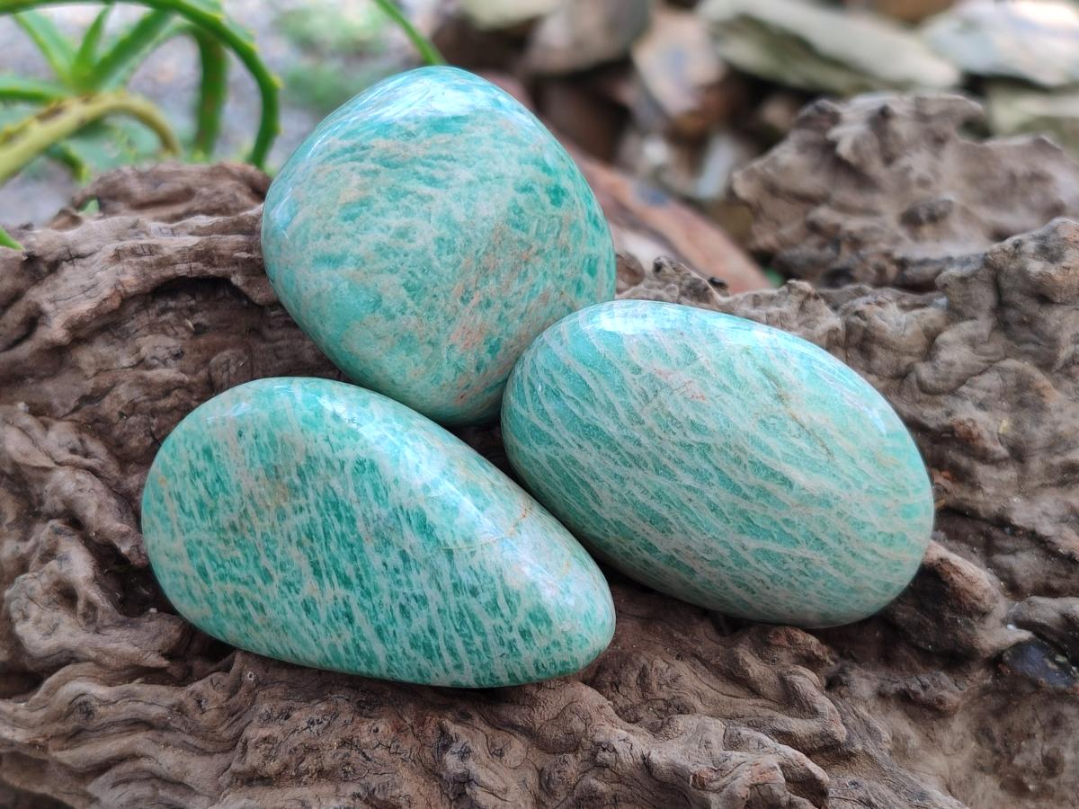 Polished Amazonite Free Forms x 24 From Zimbabwe - Toprock Gemstones and Minerals 
