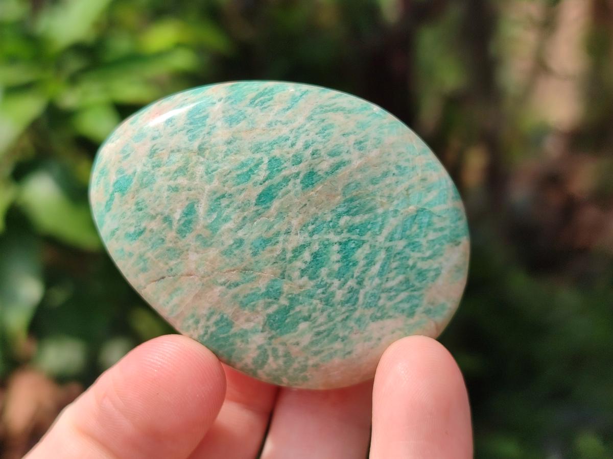 Polished Amazonite Free Forms x 24 From Zimbabwe - Toprock Gemstones and Minerals 