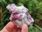 Natural Pink Rubellite Tourmaline Specimens x 12 From Karibib, Namibia - Toprock Gemstones and Minerals 