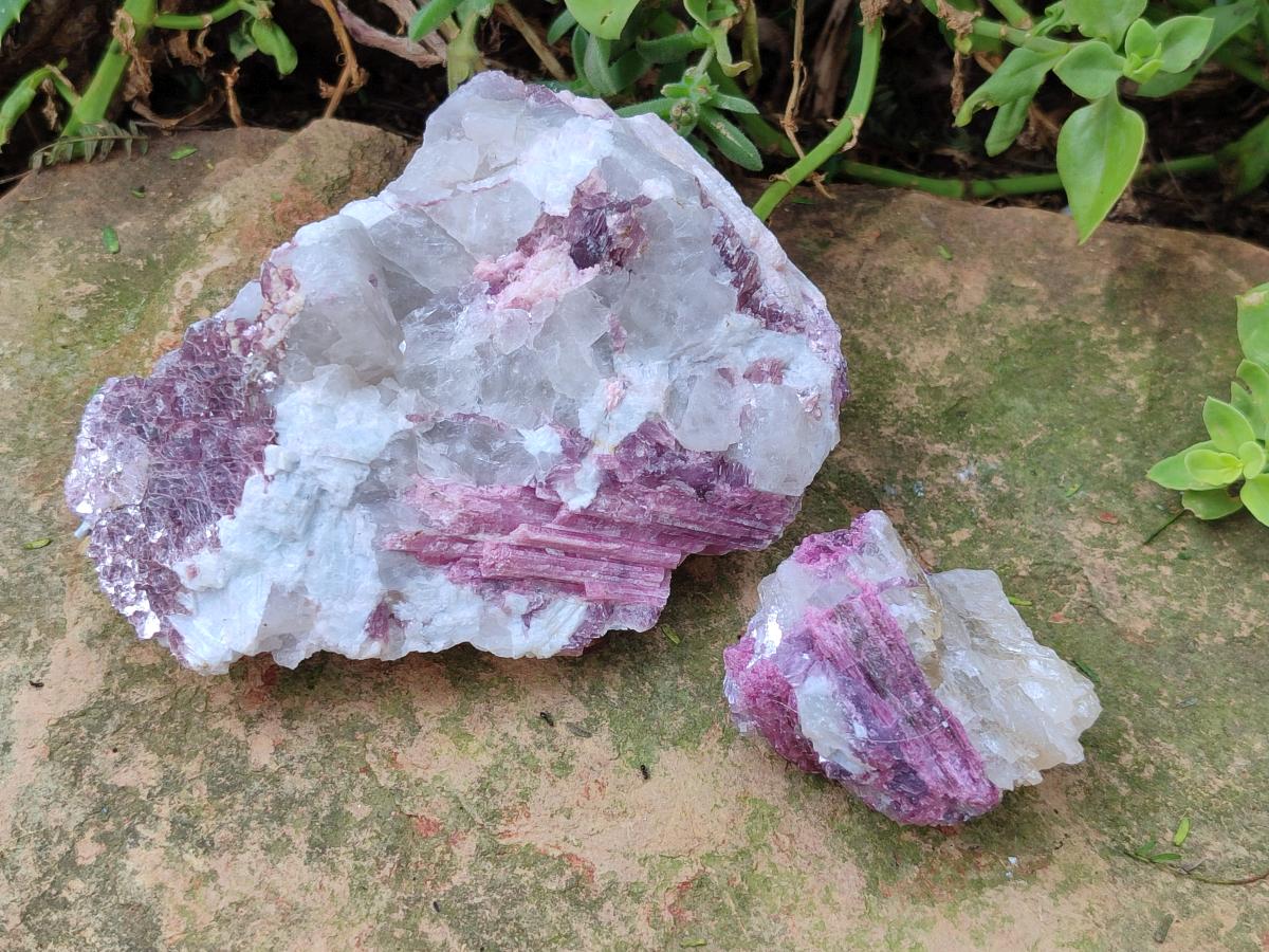 Natural Pink Rubellite Tourmaline Specimens x 12 From Karibib, Namibia - Toprock Gemstones and Minerals 