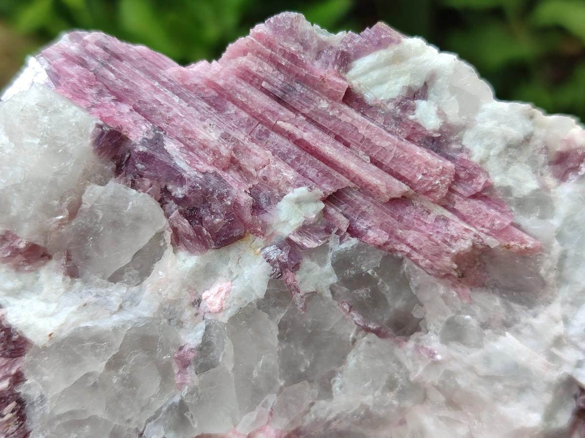 Natural Pink Rubellite Tourmaline Specimens x 12 From Karibib, Namibia - Toprock Gemstones and Minerals 