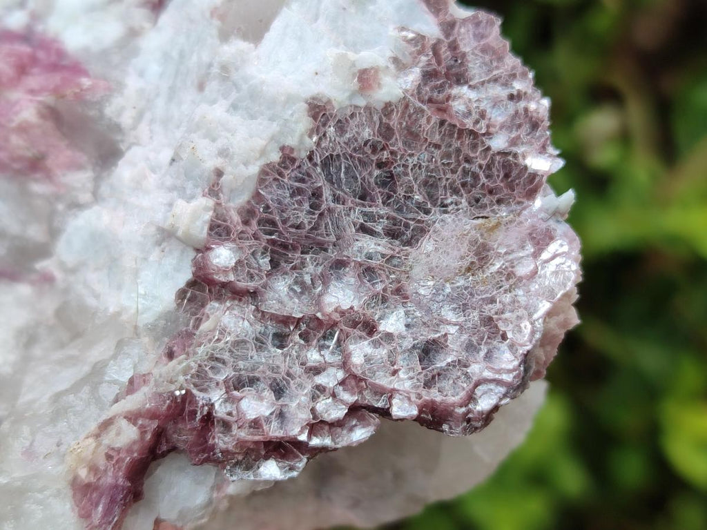 Natural Pink Rubellite Tourmaline Specimens x 12 From Karibib, Namibia - Toprock Gemstones and Minerals 