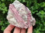 Natural Pink Rubellite Tourmaline Specimens x 12 From Karibib, Namibia - Toprock Gemstones and Minerals 