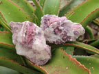 Natural Pink Rubellite Tourmaline Specimens x 12 From Karibib, Namibia - Toprock Gemstones and Minerals 