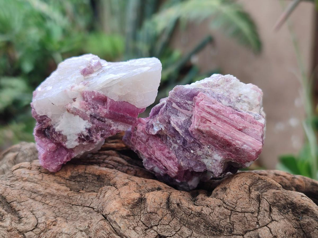 Natural Pink Rubellite Tourmaline Specimens x 12 From Karibib, Namibia - Toprock Gemstones and Minerals 