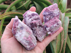 Natural Pink Rubellite Tourmaline Specimens x 12 From Karibib, Namibia - Toprock Gemstones and Minerals 