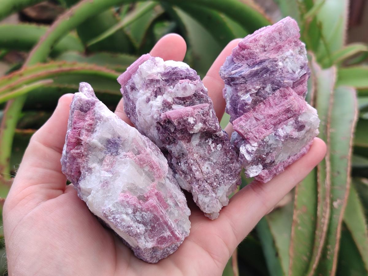 Natural Pink Rubellite Tourmaline Specimens x 12 From Karibib, Namibia - Toprock Gemstones and Minerals 