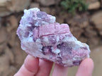 Natural Pink Rubellite Tourmaline Specimens x 12 From Karibib, Namibia - Toprock Gemstones and Minerals 
