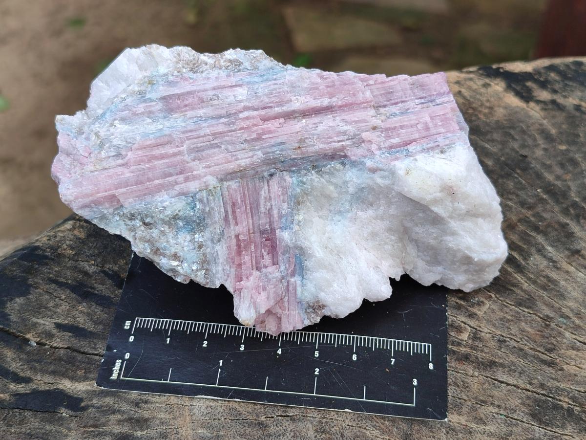 Natural Pink Rubellite Tourmaline Specimens x 12 From Karibib, Namibia - Toprock Gemstones and Minerals 