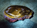 Polished Dadoxylon Petrified Wood Slices x 2 From Gokwe, Zimbabwe - Toprock Gemstones and Minerals 