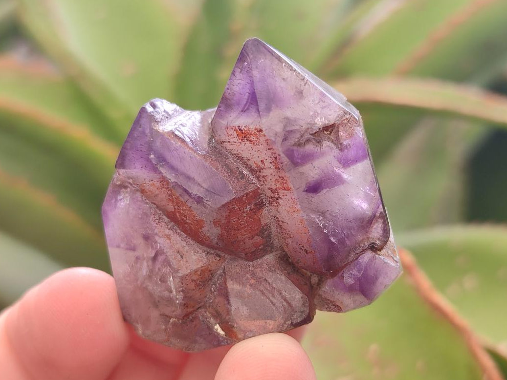Polished Chevron Amethyst Crystals x 12 From Madagascar - Toprock Gemstones and Minerals 