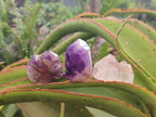 Polished Chevron Amethyst Crystals x 12 From Madagascar - Toprock Gemstones and Minerals 
