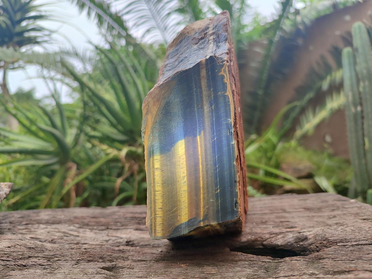 Natural Golden Blue Tigers Eye Slabs x 2 From Prieska, South Africa - Toprock Gemstones and Minerals 