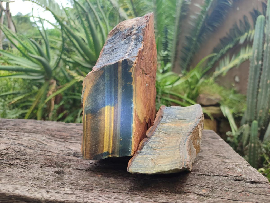 Natural Golden Blue Tigers Eye Slabs x 2 From Prieska, South Africa - Toprock Gemstones and Minerals 