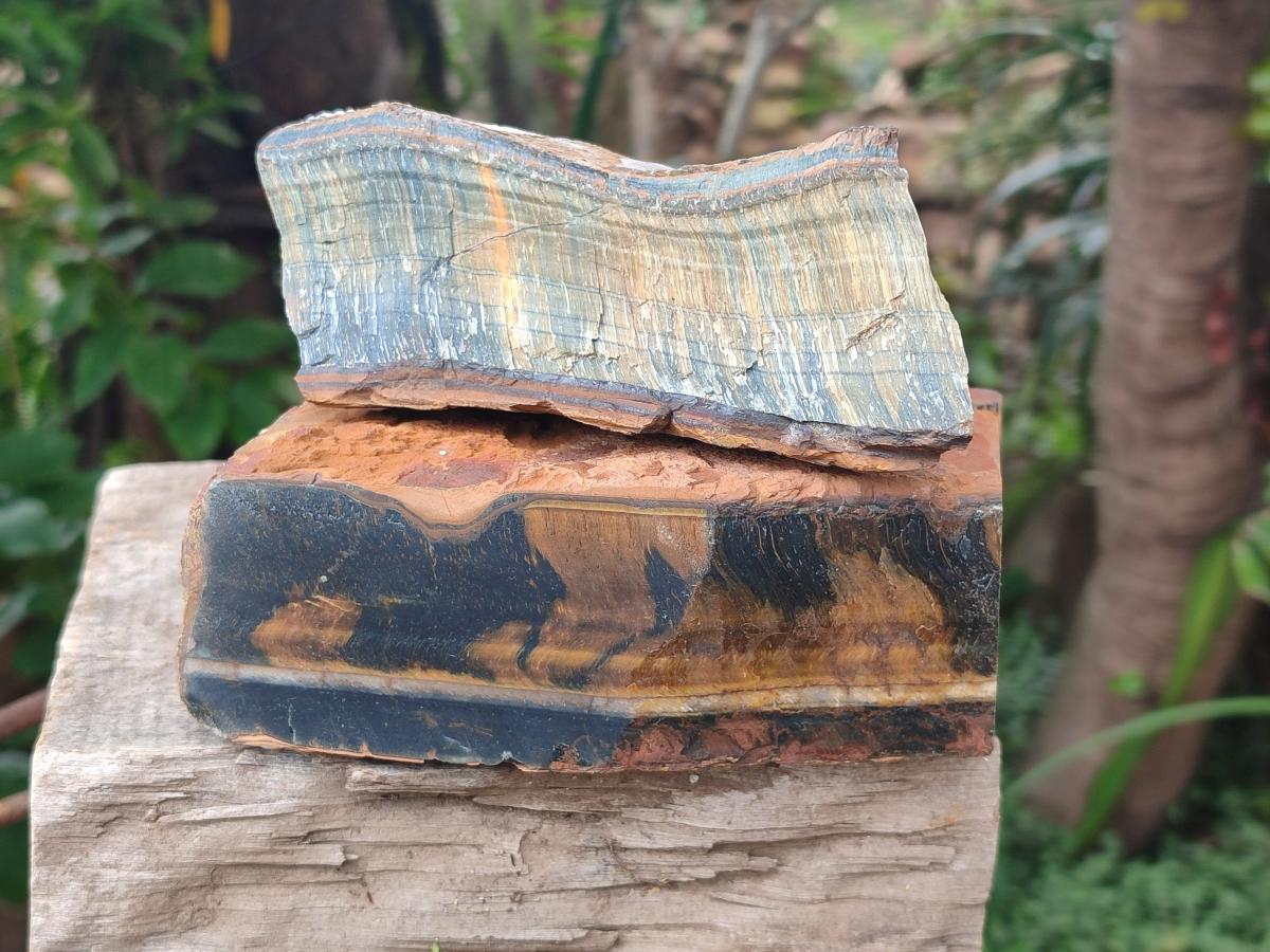 Natural Golden Blue Tigers Eye Slabs x 2 From Prieska, South Africa - Toprock Gemstones and Minerals 