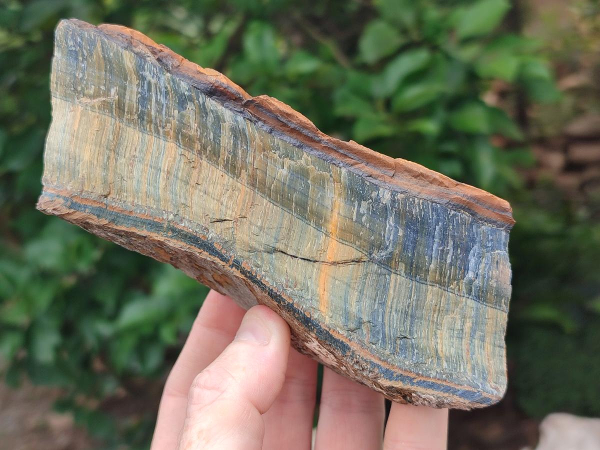 Natural Golden Blue Tigers Eye Slabs x 2 From Prieska, South Africa - Toprock Gemstones and Minerals 