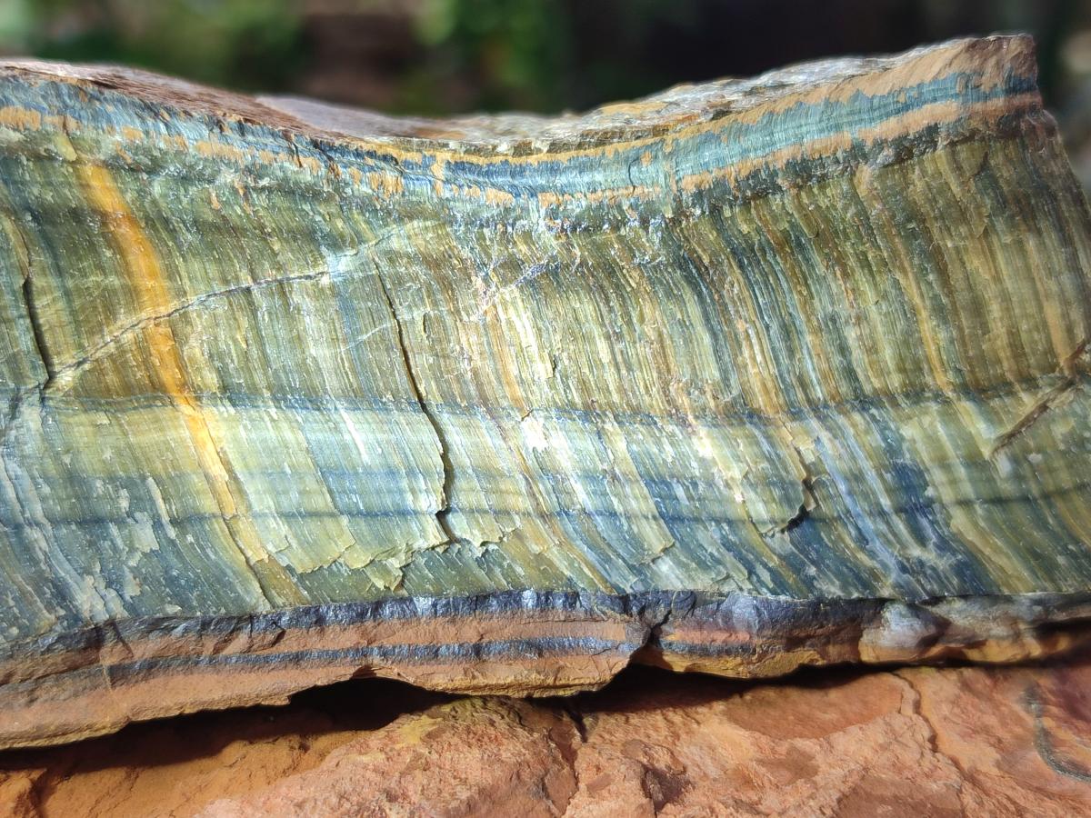 Natural Golden Blue Tigers Eye Slabs x 2 From Prieska, South Africa - Toprock Gemstones and Minerals 