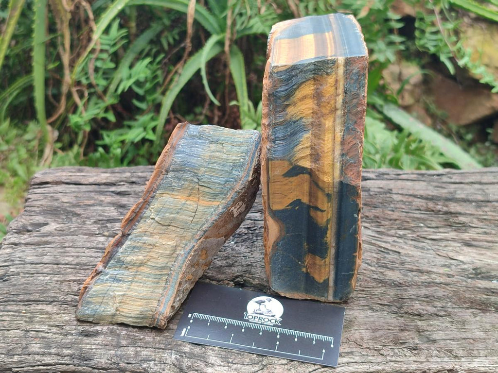 Natural Golden Blue Tigers Eye Slabs x 2 From Prieska, South Africa - Toprock Gemstones and Minerals 