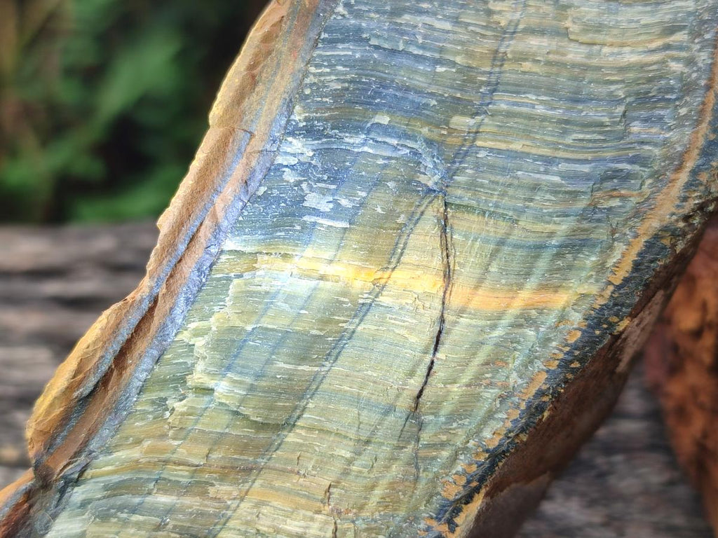Natural Golden Blue Tigers Eye Slabs x 2 From Prieska, South Africa - Toprock Gemstones and Minerals 