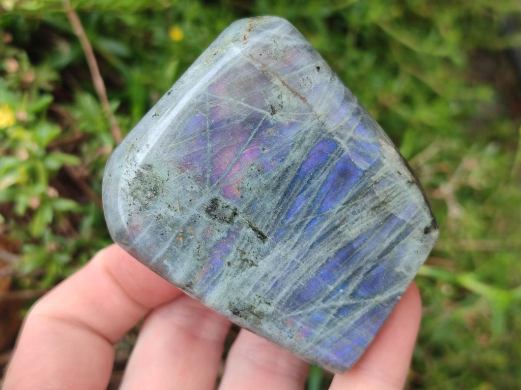 Polished Rare Purple Sunset Flash Labradorite Standing Free Forms x 6 From Madagascar - Toprock Gemstones and Minerals 