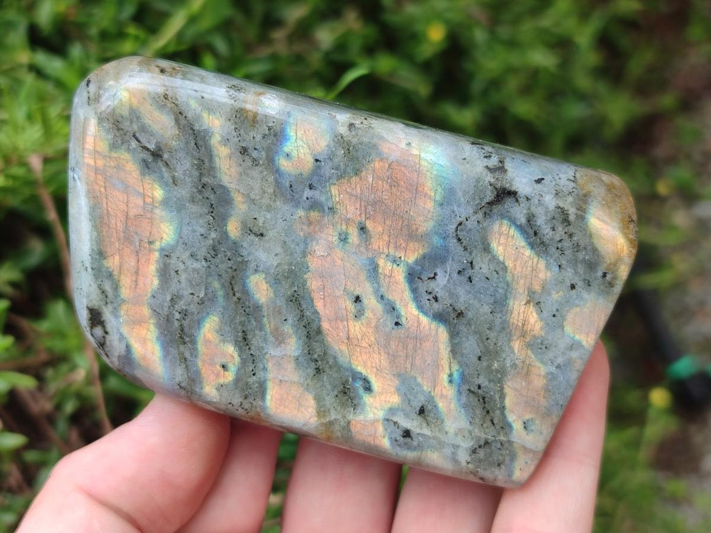 Polished Rare Purple Sunset Flash Labradorite Standing Free Forms x 6 From Madagascar - Toprock Gemstones and Minerals 