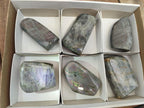 Polished Rare Purple Sunset Flash Labradorite Standing Free Forms x 6 From Madagascar - Toprock Gemstones and Minerals 