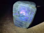 Polished Rare Purple Sunset Flash Labradorite Standing Free Forms x 6 From Madagascar - Toprock Gemstones and Minerals 