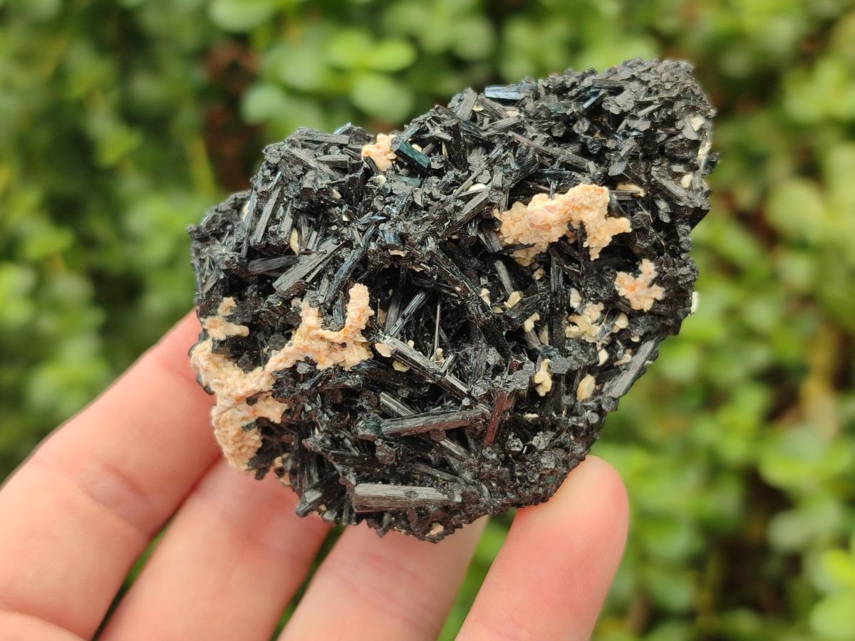 Natural Schorl Black Tourmaline Specimens with Inclusions x 12 From Erongo, Namibia - Toprock Gemstones and Minerals 