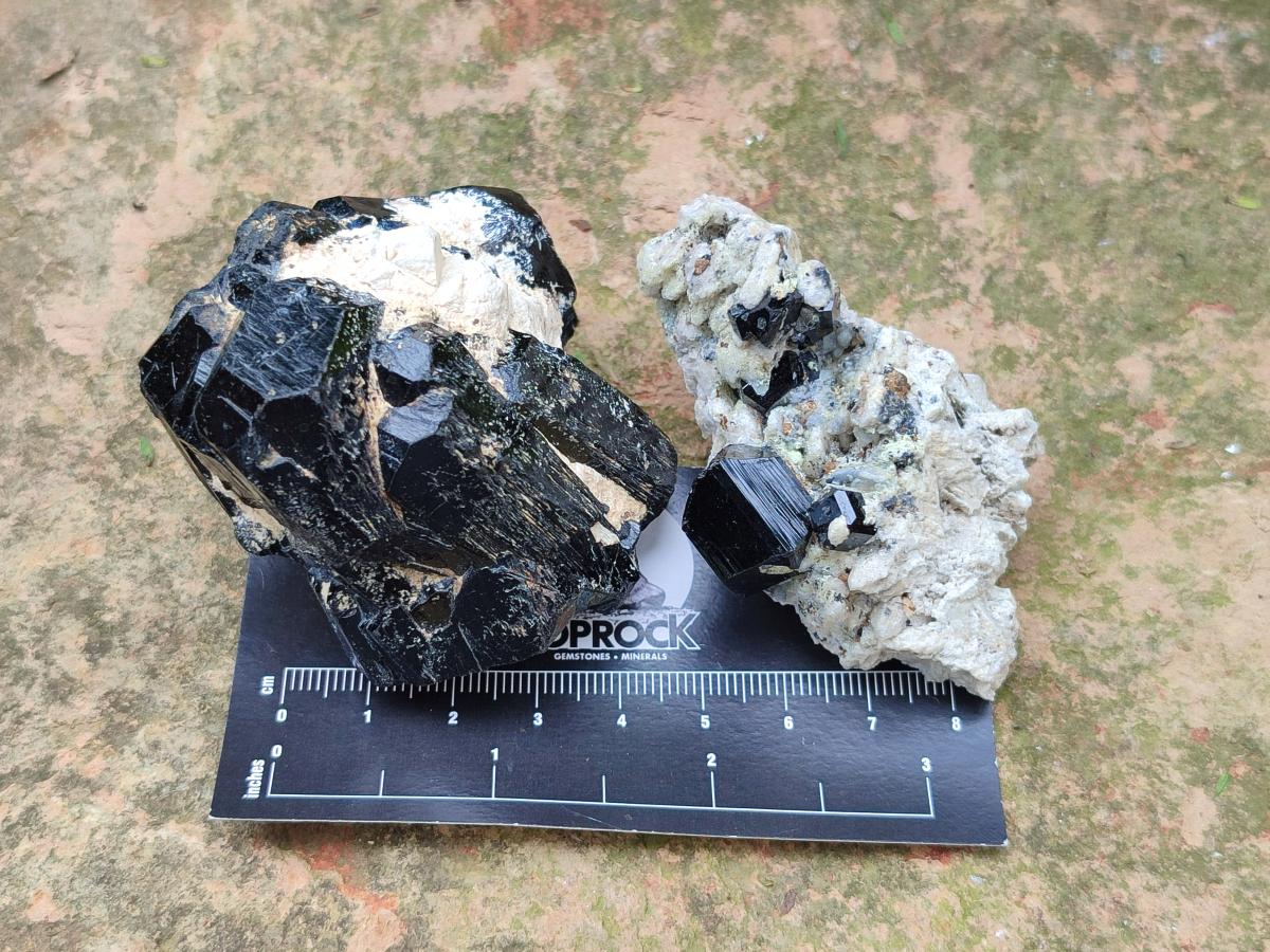 Natural Schorl Black Tourmaline Specimens with Inclusions x 12 From Erongo, Namibia - Toprock Gemstones and Minerals 