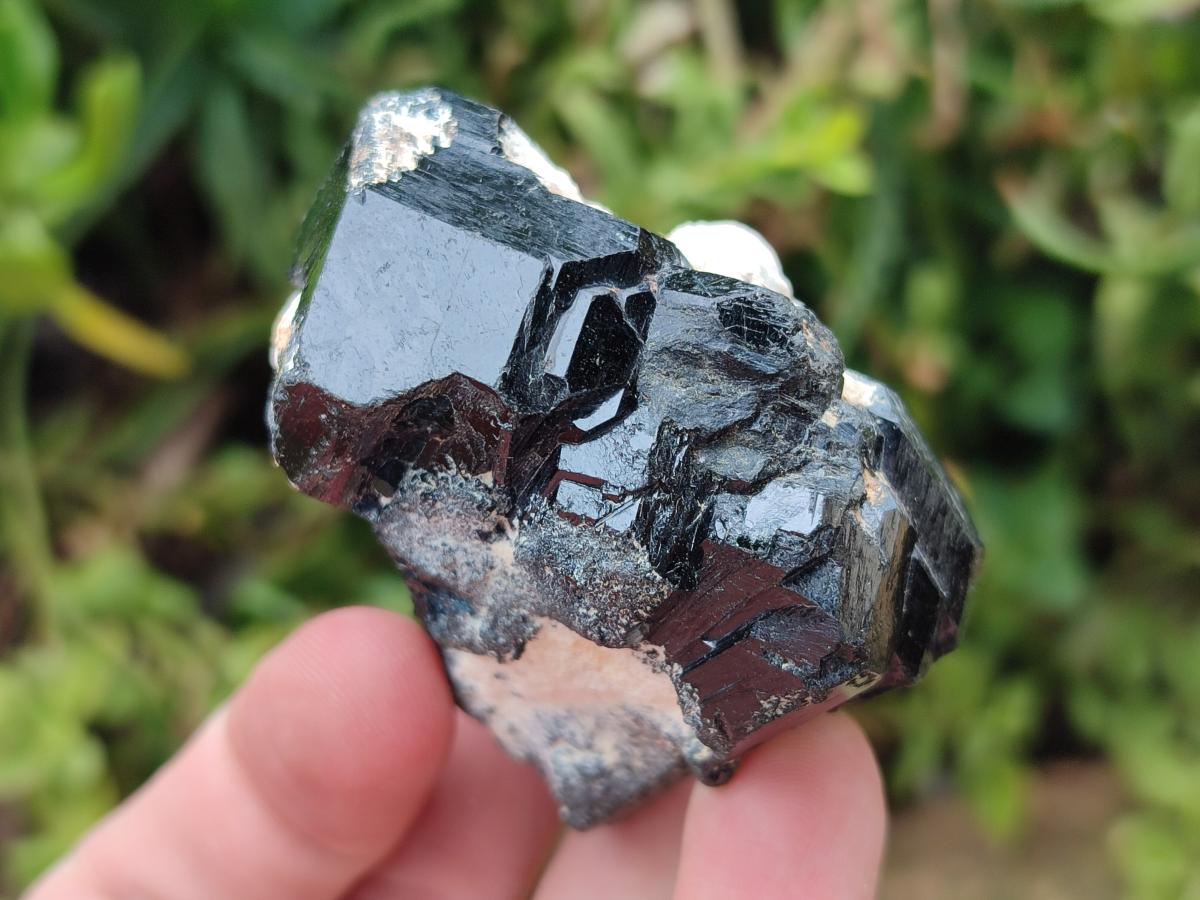 Natural Schorl Black Tourmaline Specimens with Inclusions x 12 From Erongo, Namibia - Toprock Gemstones and Minerals 