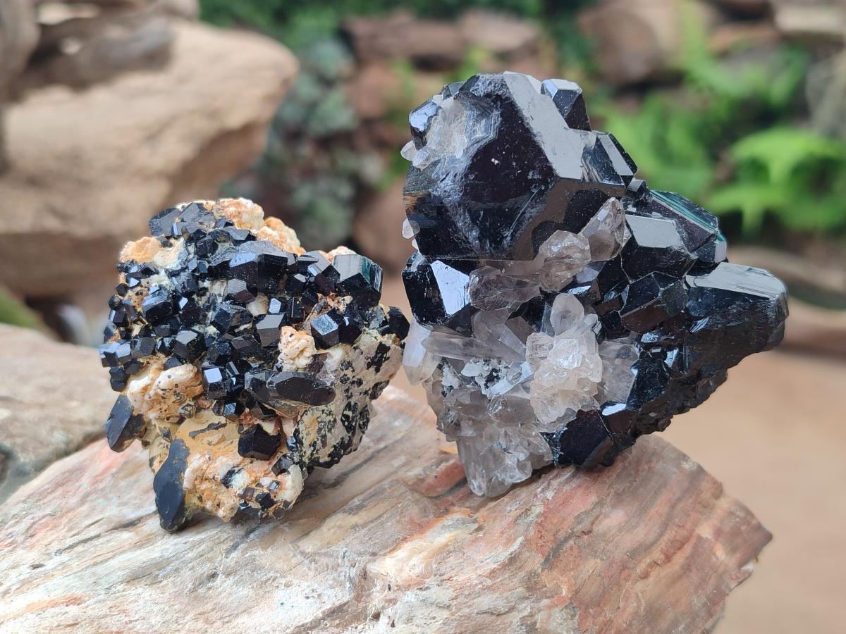 Natural Schorl Black Tourmaline Specimens with Inclusions x 12 From Erongo, Namibia - Toprock Gemstones and Minerals 