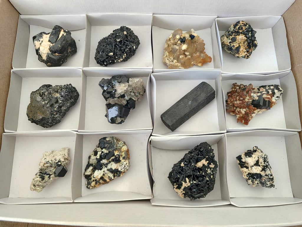 Natural Schorl Black Tourmaline Specimens with Inclusions x 12 From Erongo, Namibia - Toprock Gemstones and Minerals 