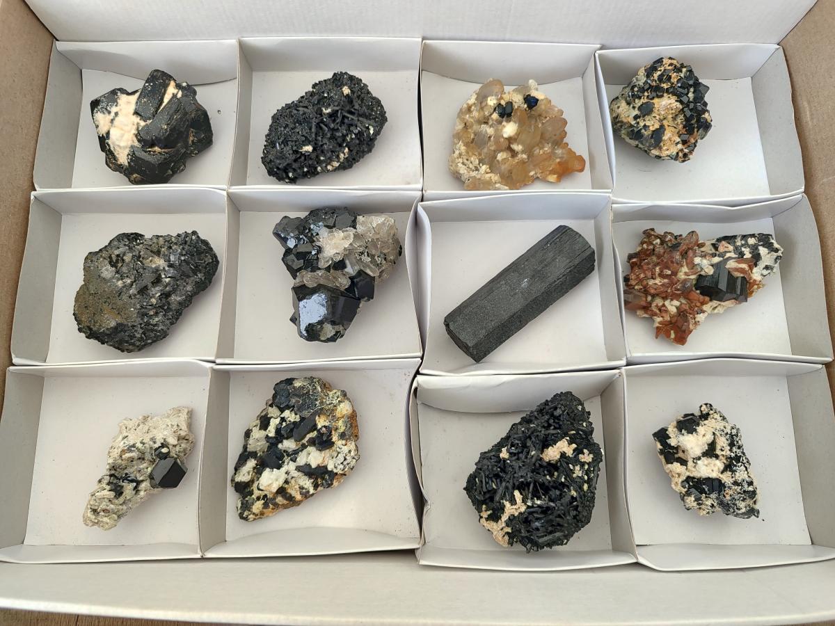 Natural Schorl Black Tourmaline Specimens with Inclusions x 12 From Erongo, Namibia - Toprock Gemstones and Minerals 