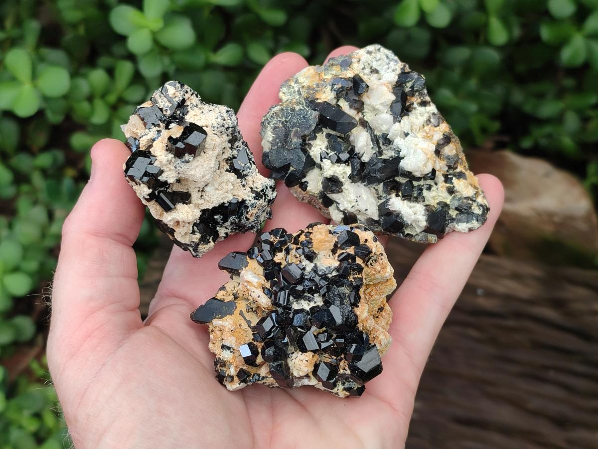 Natural Schorl Black Tourmaline Specimens with Inclusions x 12 From Erongo, Namibia - Toprock Gemstones and Minerals 