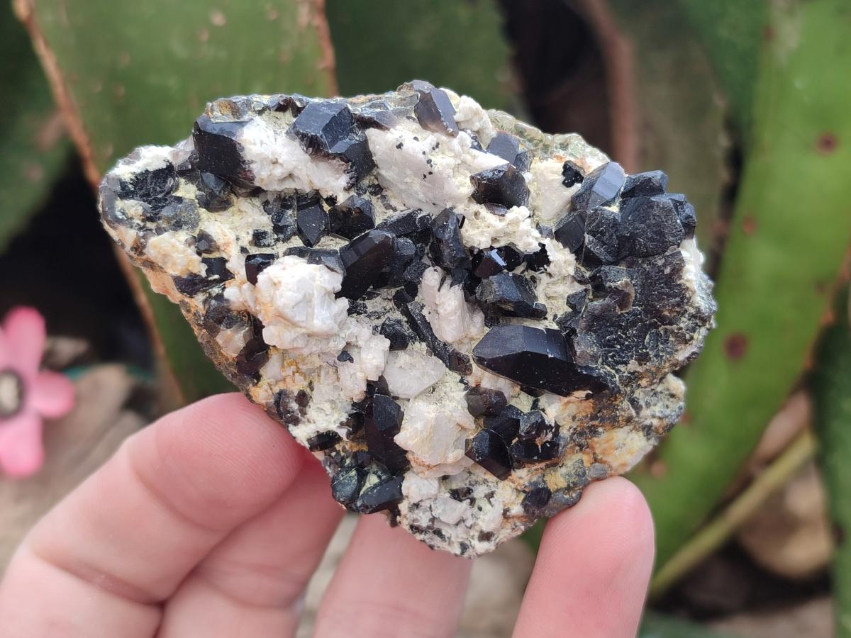 Natural Schorl Black Tourmaline Specimens with Inclusions x 12 From Erongo, Namibia - Toprock Gemstones and Minerals 