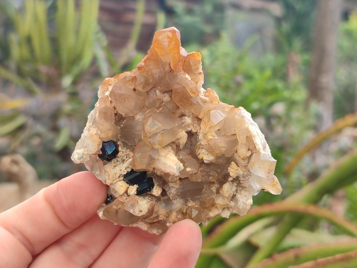 Natural Schorl Black Tourmaline Specimens with Inclusions x 12 From Erongo, Namibia - Toprock Gemstones and Minerals 