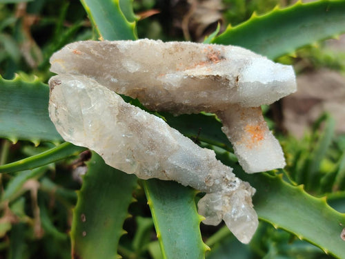 Natural Drusy Quartz Coated Spearhead Calcite Crystals x 39 From Albert's Mountain, Lesotho - Toprock Gemstones and Minerals 