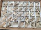 Natural Drusy Quartz Coated Spearhead Calcite Crystals x 39 From Albert's Mountain, Lesotho - Toprock Gemstones and Minerals 