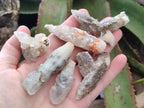 Natural Drusy Quartz Coated Spearhead Calcite Crystals x 39 From Albert's Mountain, Lesotho - Toprock Gemstones and Minerals 