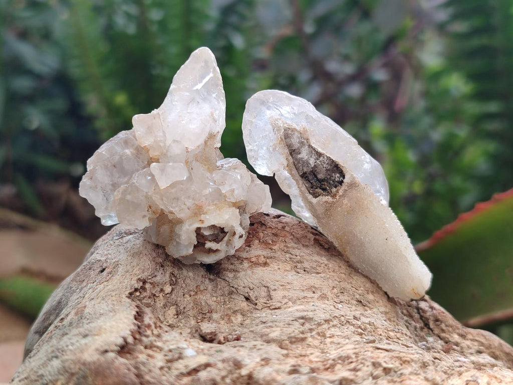 Natural Drusy Quartz Coated Spearhead Calcite Crystals x 39 From Albert's Mountain, Lesotho - Toprock Gemstones and Minerals 