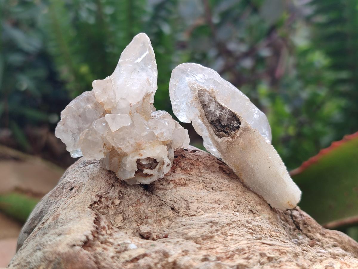 Natural Drusy Quartz Coated Spearhead Calcite Crystals x 39 From Albert's Mountain, Lesotho - Toprock Gemstones and Minerals 