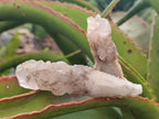 Natural Drusy Quartz Coated Spearhead Calcite Crystals x 39 From Albert's Mountain, Lesotho - Toprock Gemstones and Minerals 