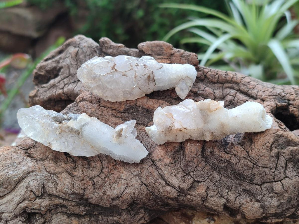 Natural Drusy Quartz Coated Spearhead Calcite Crystals x 39 From Albert's Mountain, Lesotho - Toprock Gemstones and Minerals 