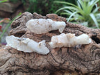 Natural Drusy Quartz Coated Spearhead Calcite Crystals x 39 From Albert's Mountain, Lesotho - Toprock Gemstones and Minerals 