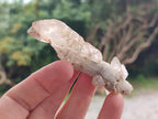 Natural Drusy Quartz Coated Spearhead Calcite Crystals x 39 From Albert's Mountain, Lesotho - Toprock Gemstones and Minerals 