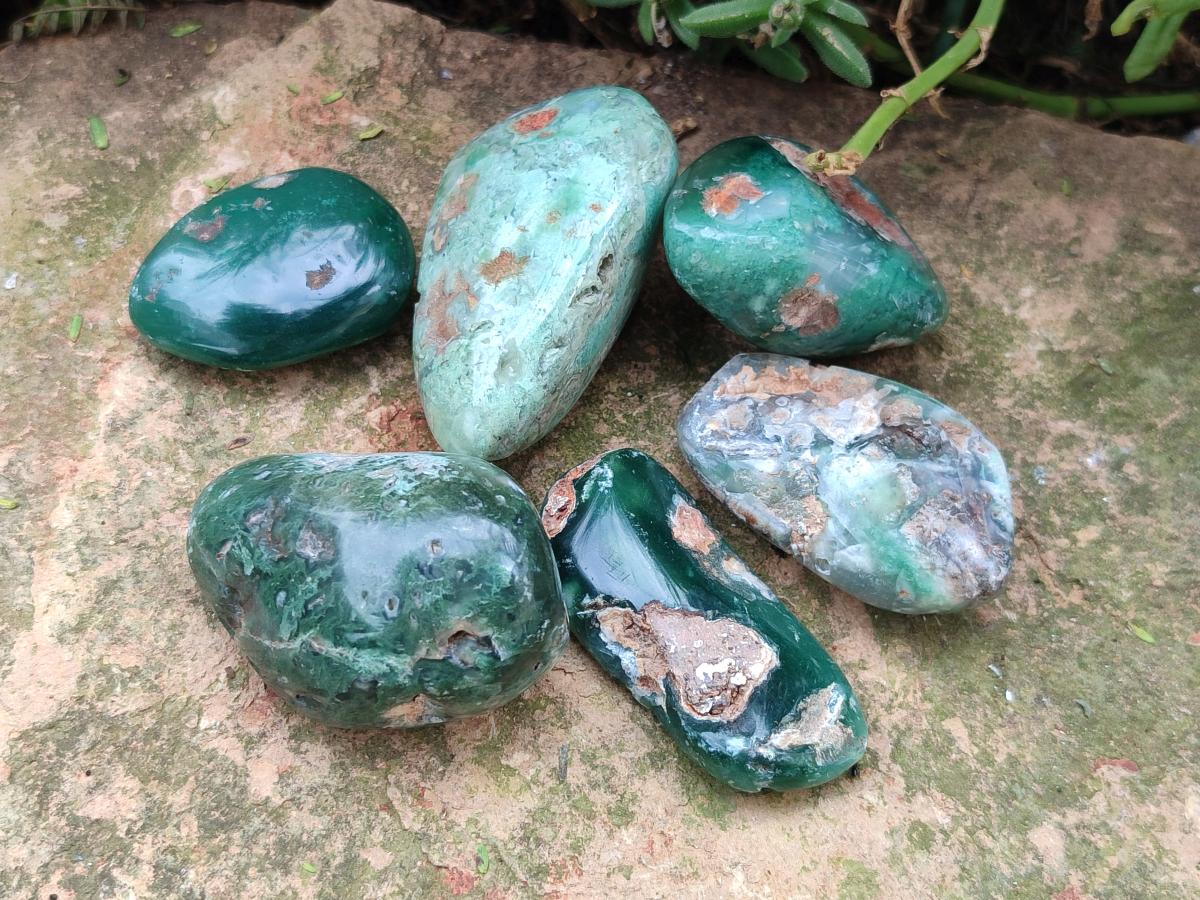 Polished Rare Mtorolite Free Forms x 48 From Mutorashanga, Zimbabwe - Toprock Gemstones and Minerals 